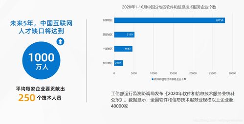 軟件開發(fā)企業(yè)的轉(zhuǎn)型之路 挑戰(zhàn)、策略與實(shí)戰(zhàn)項(xiàng)目分享